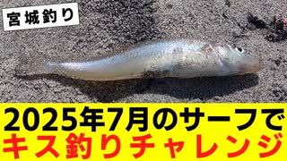 【釣り】2025年7月のサーフでキス釣りチャレンジ【VOICEROIDフィッシング】