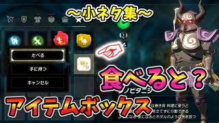 ラストダイブでセーブすると？世界最長の槍･プロローグでアイテムボックスなど小ネタ集【ティアキン TotK】裏技 バグ 検証 ゆっくり実況 glitch