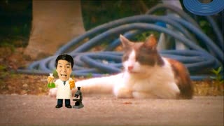 猫とサイエンティスト？