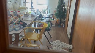 5日ぶりの再会