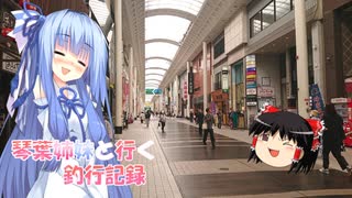 琴葉姉妹と行く釣行記録（車載編part36 35）