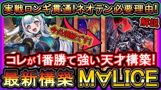 【マリス】この天才構築が1番強いぞ！ロンギ怖く無い深淵とネオテン必須理由解説！M∀LICE最強展開【回し方】【遊戯王マスターデュエル】【yugioh】