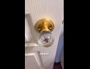 ホモと見るドアノブにされた蜘蛛