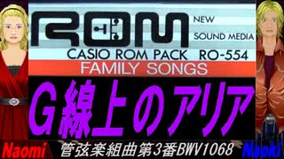 【Naomi＆Naoki】Ｇ線上のアリア【カバー曲】