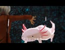 ウーパールーパーを食べてみたいな / ホム・レス
