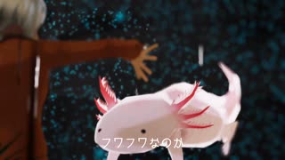 ウーパールーパーを食べてみたいな / ホム・レス