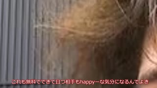 初投稿、ゆっくり動画【生きがいを見つけたい】