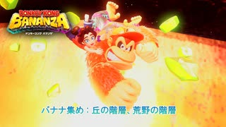 【ドンキーコング バナンザ】バナナ集め : 丘の階層、荒野の階層 Part 25【ネタバレあり】