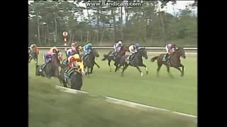 2004 アイビスサマーダッシュ (GIII)　カルストンライトオ
