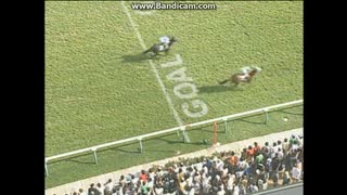 2005 アイビスサマーダッシュ (GIII)　テイエムチュラサン