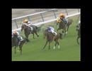 2006 クイーンステークス (GIII)　デアリングハート