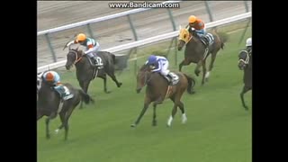 2006 クイーンステークス (GIII)　デアリングハート
