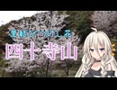 【第2回ARIA姉妹投稿祭】里結びつけし花・四十寺山【リアル登山アタック】