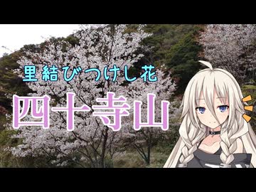【第2回ARIA姉妹投稿祭】里結びつけし花・四十寺山【リアル登山アタック】
