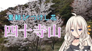 【第2回ARIA姉妹投稿祭】里結びつけし花・四十寺山【リアル登山アタック】