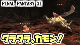 【FF11】ヴァナ・バウト１２日目！／ダークマターガチャ、南海の魔神でクラーケンクラブを取るぞ！、等＿＿カッパのヴァナ・ディール生活