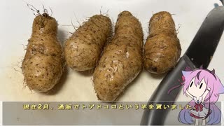 珍食材が食べたい！#222 トゲドコロ