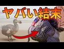 ドードーの代わりに七面鳥を島に連れてきた衝撃の結果【解説動画】