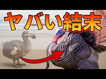 ドードーの代わりに七面鳥を島に連れてきた衝撃の結果【解説動画】