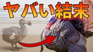 ドードーの代わりに七面鳥を島に連れてきた衝撃の結果【解説動画】