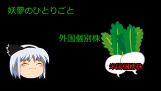 米国株買ってみた　【妖夢のひとりごと】 #ゆっくり解説 #sbi証券 #新nisa