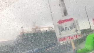 2025/1/24 フグちゃん 函館港で看板にガツッと！！