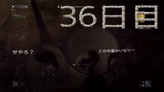パワーの主とサバイバーの友人によるハラン旅行３６日目　[ダイイングライト]　難易度：悪夢＆スキル縛り