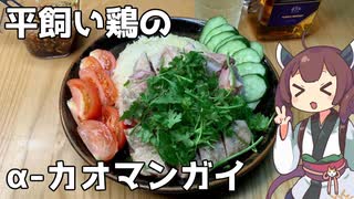 【カオマンガイリレー第四十六夜】平飼い鶏のα-カオマンガイ【ももんじゃきりたん】