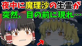 【ゆっくり茶番】えっ、魔理沙の生霊登場！？