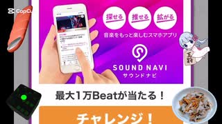 本日のサウンドハウスくじ　記録17