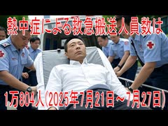 【動画News】熱中症による救急搬送人員数は1万804人(2025年7月21日～7月27日)(2025/07/29)