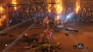 sc^イカれた生放送(SEKIRO)　２６－１７