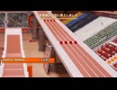 [粉丝团字幕组]弾珠競走：弾珠競技会2025 第六戦：五米継走