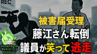 【テスト投稿中】◆衝撃！国民民主党議員による転倒事件！被害届受理藤江さん転倒…議員が笑って逃走【ずんだもんver】