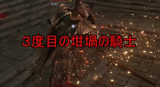 初見実況【ELDEN RING】貧弱主人公が王となる冒険　パート33