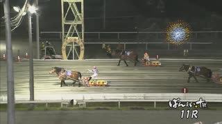 2025年7月28日帯広競馬11R サマーカップ(OP・A1) メムロボブサップ