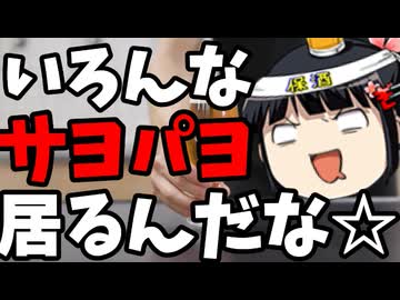 サヨクパヨクは愉快だな（白目）