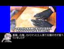 [青海が]-「麺処きずな」関連補足動画-[二回消したから増えます][ドカ捨て加担.煽りサムネ青海(おうみ)]