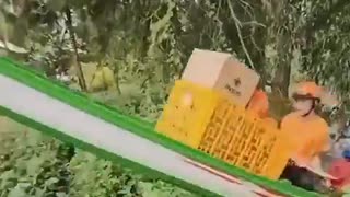 ホモと見るボートで荷物を運ぶベトナムの配送業者