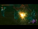 #221【ゼルダの伝説 ティアーズ オブ ザ キングダム】地底のライネルは無視すること！