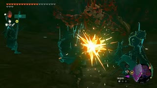 #221【ゼルダの伝説 ティアーズ オブ ザ キングダム】地底のライネルは無視すること！
