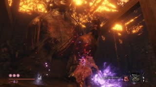 まぼろしお蝶　ノーダメージ　SEKIRO/隻狼/苦難厄憑