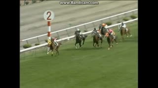 2003 クイーンステークス (GIII)　オースミハルカ