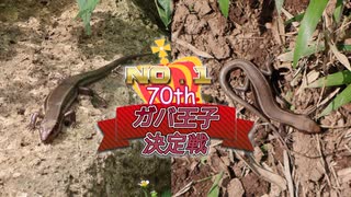 第70回No.1ガバ王子決定戦開会式