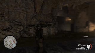 PS4破解版配信《狙擊精英4》狙擊精英難度-第一期 (21)