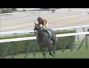2017 クイーンステークス (GIII) 　アエロリット