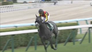 2017 クイーンステークス (GIII) 　アエロリット