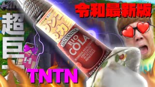 超巨大TNTNで恥丘ごと吹っ飛ぶ!？ 【オナクラ】【ONAKINCRAFT】【オナキンゲームズ】