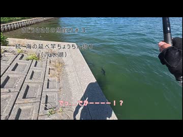 さどうささらの魚釣り＃３　続・海の延べ竿ちょうちん釣り（汽水湖）