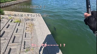 さどうささらの魚釣り＃３　続・海の延べ竿ちょうちん釣り（汽水湖）